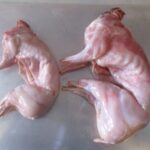 WhatsApp Image 2026-01-26 at 5.32.51 PM