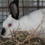 WhatsApp Image 2026-01-27 at 4.48.24 PM (2)